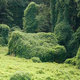 Kudzu covered house
