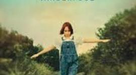 Timeline: Moon over Manifest