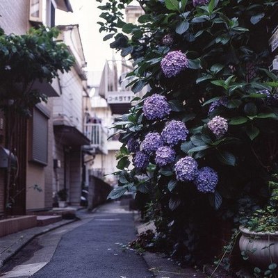 Timeline: Весна