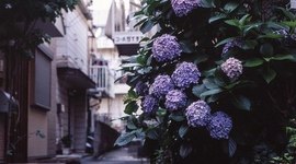 Timeline: Весна