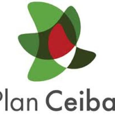 Timeline: Historia del Plan Ceibal