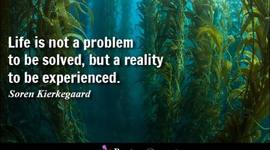 Timeline: My Timeline