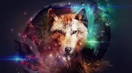 Timeline: этапы становления товароведения