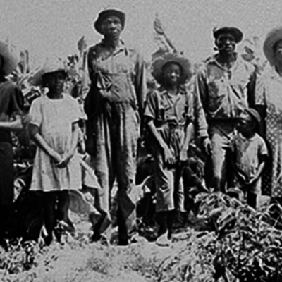 Timeline: Tinsley's Reconstruction Timeline