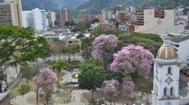Timeline: GESTIÓN POLÍTICA DE LOS ÚLTIMOS 4 ALCALDES DE IBAGUÉ