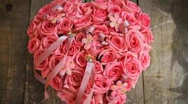 Timeline: nacimiento de llilli