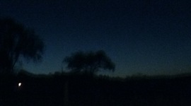 Timeline: Napoleon Bonaparte