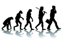 Timeline: TEORÍA DE LA EVOLUCIÓN