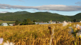 Timeline: Histoire de Charlevoix