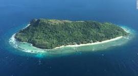 Timeline: dr. franklin's island Logan P