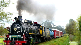 Timeline: Evolución del tren