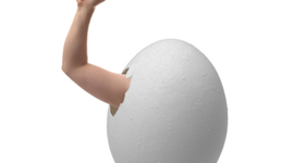 Timeline: Adios confort