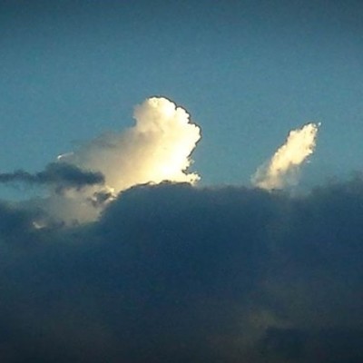 Timeline: KSS Test Timeline