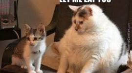 Timeline: History Continues On