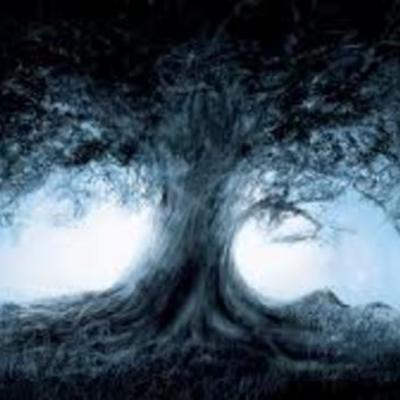 Timeline: Aline Bos- light and optics