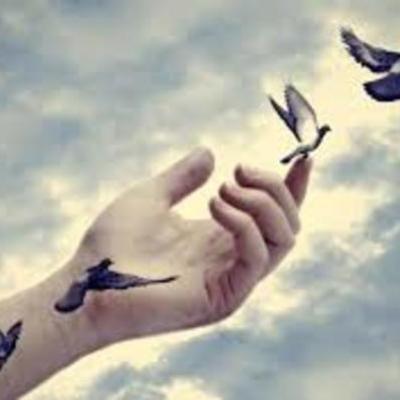 Timeline: CAMINO DE  LIBERTAD