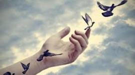 Timeline: CAMINO DE  LIBERTAD