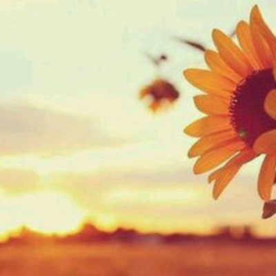 Timeline: Changes in Leadership (Management)