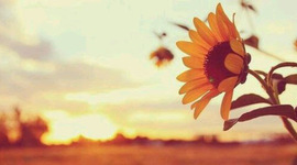 Timeline: Changes in Leadership (Management)