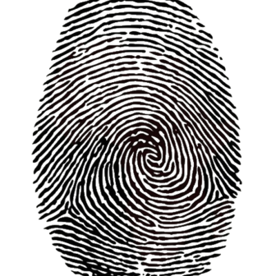 Timeline: Mi línea de tiempo