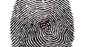 Timeline: Mi línea de tiempo