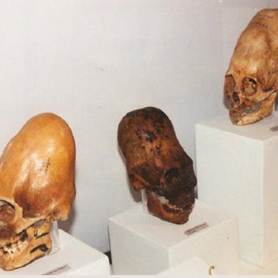 Timeline: MUNDO PARANORMAL