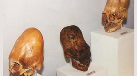 Timeline: MUNDO PARANORMAL