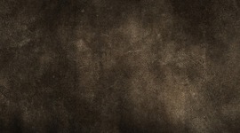 Timeline: History Timeline Project