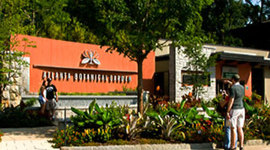 Timeline: Atlanta Botanical Garden