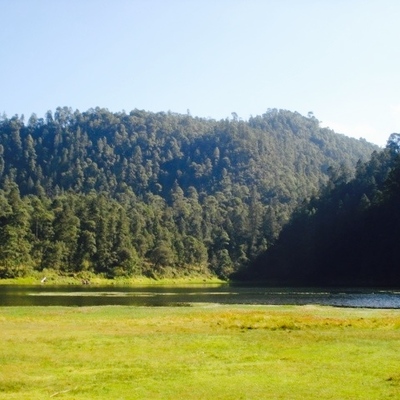 Timeline: HISTORIA DEL CONDUCTISMO