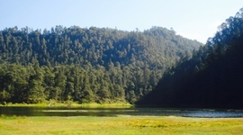 Timeline: HISTORIA DEL CONDUCTISMO