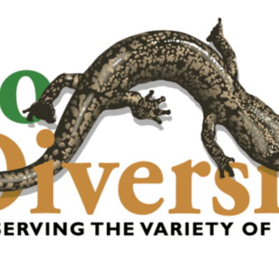 Timeline:  Timeline of biodiversity Conservation 1960-2015 Ale B.