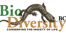 Timeline:  Timeline of biodiversity Conservation 1960-2015 Ale B.