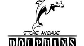 Timeline: Stone Avenue 2020