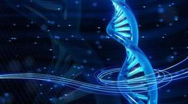 Timeline: HISTORIA DEL ADN