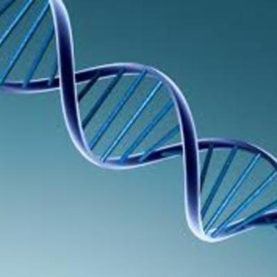 Timeline: DE MENDEL A WATSON