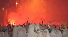 Timeline: Carnaval Rural ( Altsasu/Alsasua)