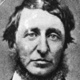 Thoreau crosp