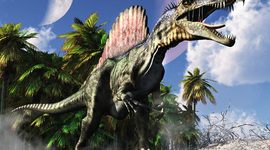 Timeline: Dinosaur Dinastey