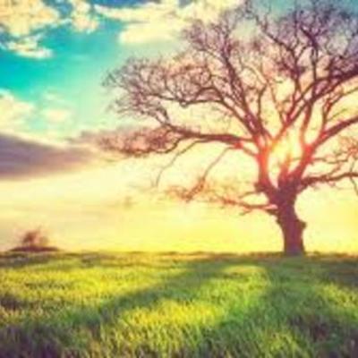 Timeline: Nature of Matter karen