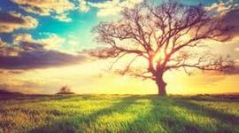 Timeline: Nature of Matter karen