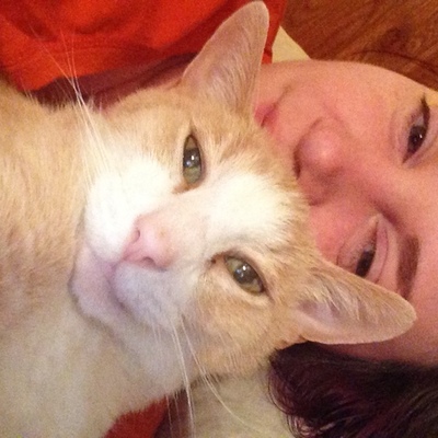 Timeline: The life of Spicy