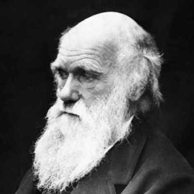 Timeline: Historia del pensamiento evolutivo