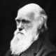 Charles darwin