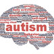 Autism brain lead