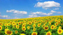 Timeline: Biografía escolar