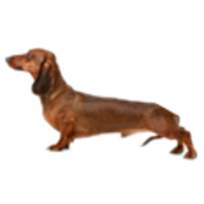 Timeline: Professional History