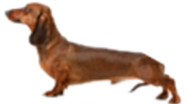 Timeline: Professional History