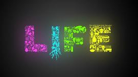 Timeline: 5 Important Events In My Life