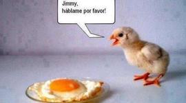 Timeline: Historia de la naturaleza de la luz